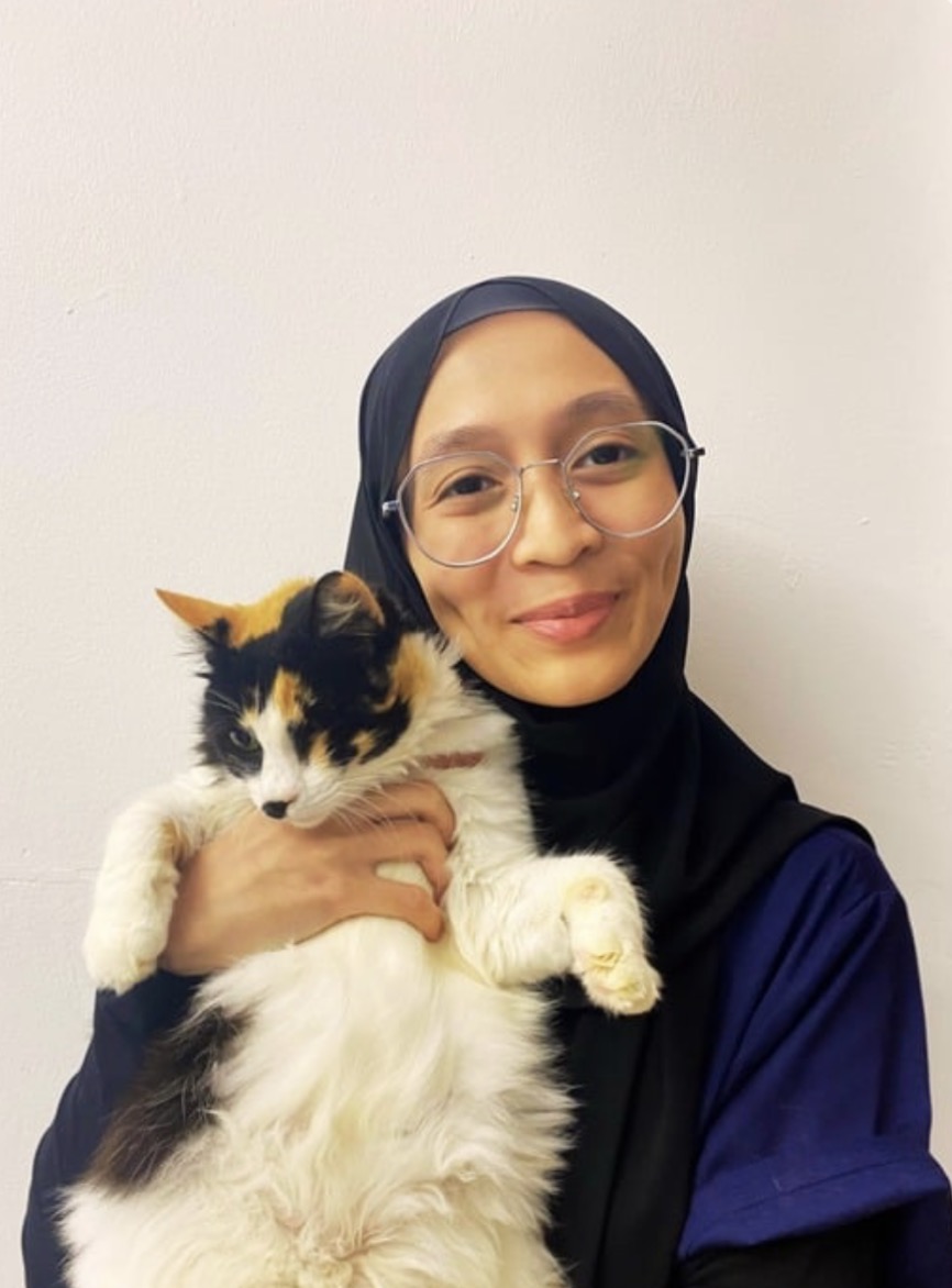 Dr. Insyi